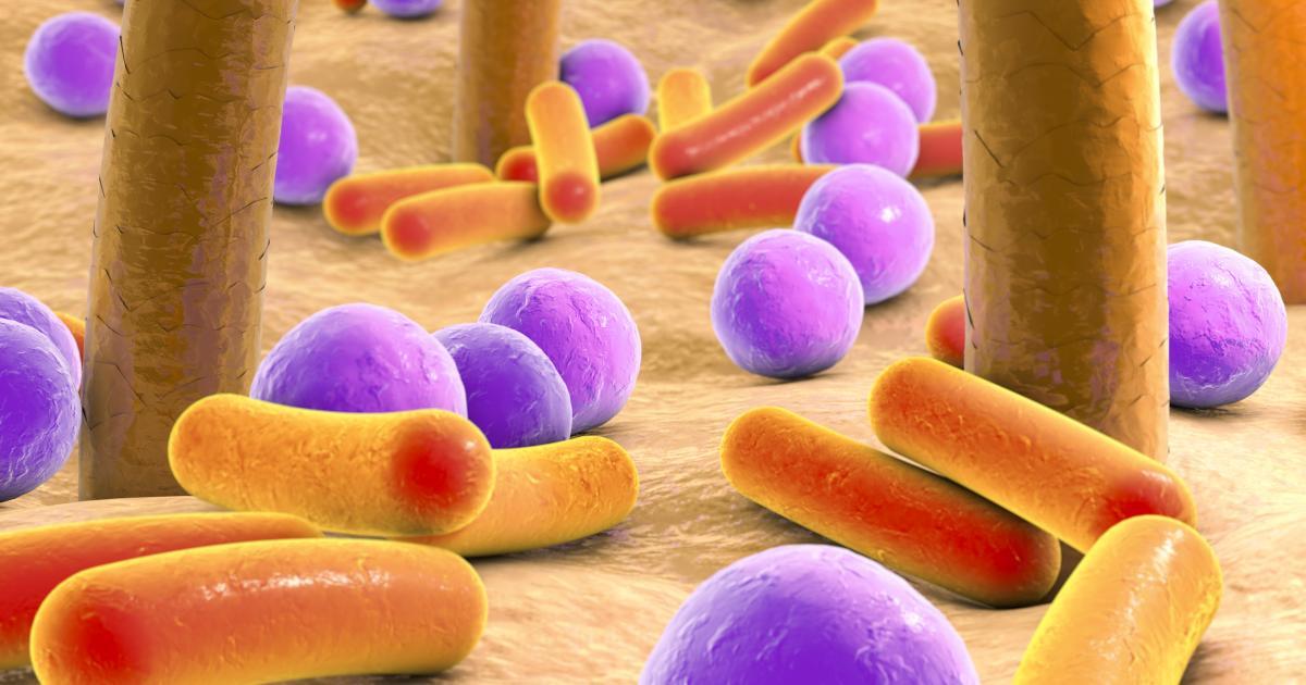 microbiota cutánea